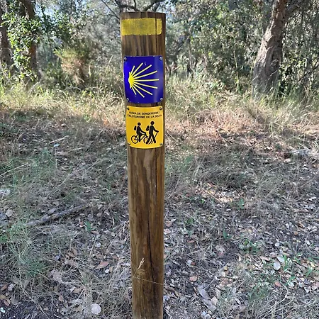 Guest house Del Mar Tossa de Mar