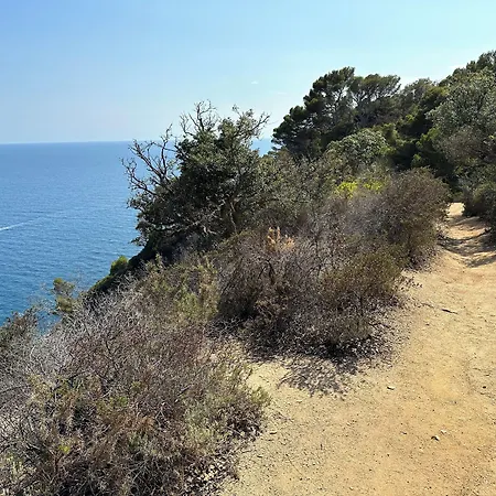 בית הארחה Del Mar טוסה דה מאר